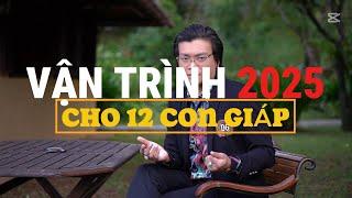  Vận Trình 12 Con Giáp Năm Ất Tỵ 2025 | Dự Báo Tài Lộc & Hóa Giải Vận Hạn