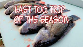 Last Blackfish Trip of the Season with Capt Joey Leggio