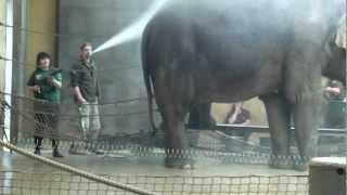 Zoo Ostrava Jarka ze Sokolova