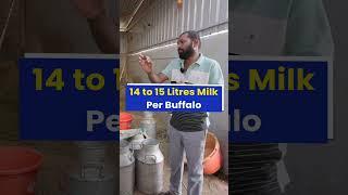 एक महीने की कमाई 22,00,000 रुकरोड़ों कमाने वाला Dairy farm #indianfarmer #shorts