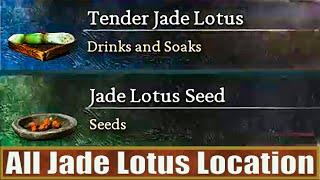 All Jade Lotus Location: Get Jade Lotus Seed & Tender Jade Lotus: Black Myth Wukong