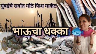 बाब्बो! कवरा मोट्टा Fish Market  भाऊचा धक्का Bhaucha Dhakka Mumbai's Biggest Wholesale Fish Market