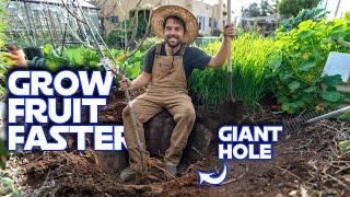 How To Grow A Fruit Tree Faster | The Multiyear Hole