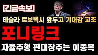[포니링크 주가전망] 테슬라 로보택시 앞두고 기대감 고조! 자율주행 대장주는 이 종목!