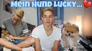 Mein Hund Lucky.../ itsofficialmarco