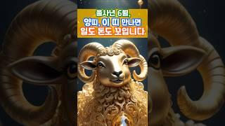 을사년6월 양띠는 이 띠 만나면 일도 돈도 꼬입니다 #띠운세 #운세 #양띠운세 #양띠