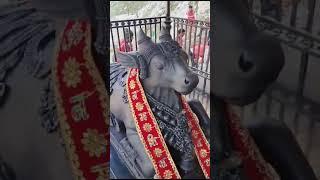 Nandi Ji Maharaj Sabse Pahle At Holy Cave