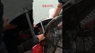 내가 미친놈이지 이 나이에 무슨 영화를 누리겠다고 역돔의 앞잡이 노릇이나 하고 있으니... 그래도 굶는 것 보다는 낫겠지 ㅋㅋ 