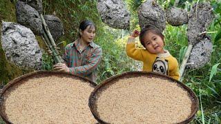 How to harvest strange ant eggs - Make strange dishes with delicious and simple ant eggs