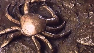 The-Two-Crabs.mov