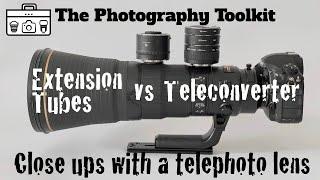 Extension Tubes vs. Teleconverters: Close ups with a Telephoto Lens