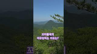 #자연인 #산행 #꼬마인형 #야유