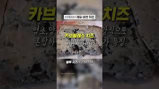 치즈 한입에 100만 원