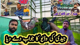 jaidi ki video ka jawab || Khokhar pigeons club || haider pigeon club || kabootar lovers