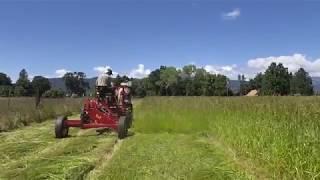 Mowing Hay with Horses I & J Ground Driven Sickle Bar Mower