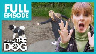 Bandit: The Rampaging Teenager | Full Episode | It’s Me or The Dog