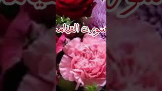 Suratul qayamat Qari Abdul basit