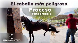  EL CABALLO MÁS PELIGROSO   -  Resumen del proceso - Temporada 1 - Doma racional