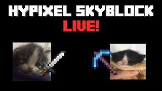 dungeons | Hypixel skyblock live