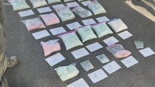 7 charged in Connecticut's largest fake pill manufacturing operation