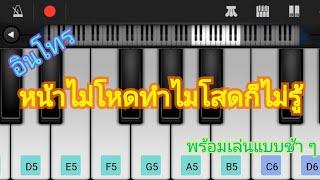 เล่นง่าย!!อินโทรเพลงหน้าไม่โหดทำไมโสดก็ไม่รู้ - ลิลลี่ Cover by piano perfect