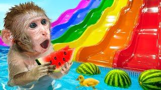 KiKi Monkey play Rainbow Water Slides at Watermelon Swimming Pool with Ducklings | KUDO ANIMAL KIKI