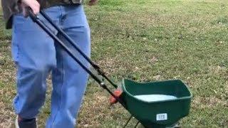 Lawn SERV Mail Order Lawn Care Subscription Review