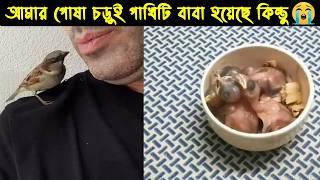 আমার পোষা চড়ুই পাখিটির জীবন কাহিনী | Bird story-189 | The Life Story Of My Pet Sparrow Bird | Ep:05