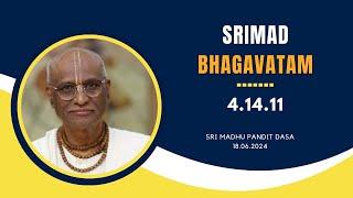 Dispelling Ignorant Perceptions with Krishna Consciousness | Sri Madhu Pandit Dasa | SB 4.14.11-12