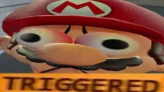 RIP MARIO'S GENITAL
