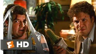 Pineapple Express - I Seen't It Scene (4/10) | Movieclips