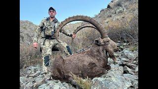 Охота на Джунгарского козерога в Казахстане 2024. - Dzungarian Ibex Hunting in Kazakhstan 2024.