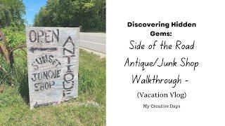 Discovering Hidden Gems: Side of the Road Antique Shop Walkthrough | Vacation Vlog