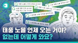 태풍 노을 있었는데…없었습니다 / 비디오머그