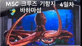 [msc#7]Meraviglia 바하마 섬 크루즈 여행 기항지 추천 코스 (여왕의 계단, 바하마 로컬 식당 추천) & white night 선상파티