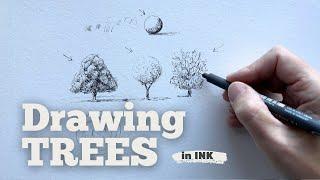 10 Tips for Drawing TREES in INK