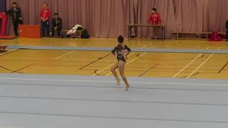 Chung Yan Yuet Jeanie 鍾恩悅 - FX - 2020 HK Gymnastics Open