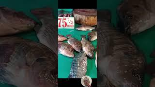 Kuya Jing TV  is live!removal of scales live fish#satisfying#asmr#viral