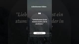 Welt der Zitate