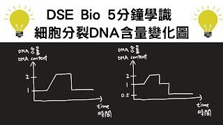 ［三屆Bio 5**］5分鐘學識睇細胞分裂DNA含量變化圖 - DSE Bio必學