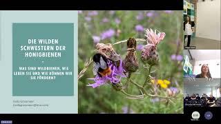 BizBreakfast: Einblick in die spannende Welt der Wildbienen | Vortragsreihe Biodiversität