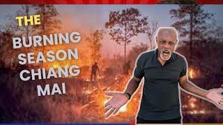 Burning Season In Chiang Mai: Health Risks And Safety Tips | Far Away Fred