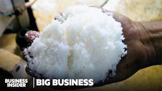 How Brazil Dominates Sugar Production Without Burning Fields | Big Business | Business Insider