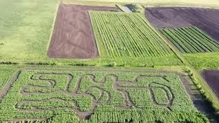 Summer 2023 Adventures at Bowden Sun Maze and Eagle Creek Farms in Bowden, Ab.