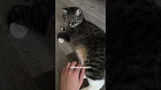 Начинаю все сначала  #йогатренер #оличном #практикайоги