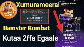 HAMSTER KOMBAT Xumuramee | Kutaa 2ffaa Akkata Itti Hojjatan | Hamster Kombat New Update |