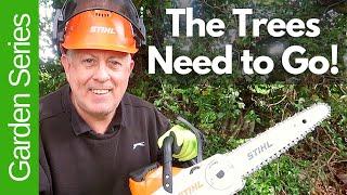 Cutting back trees with  battery powered chainsaws.