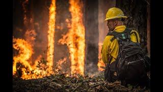 A New Strategy for Addressing the Wildfire Epidemic in California | Webinar