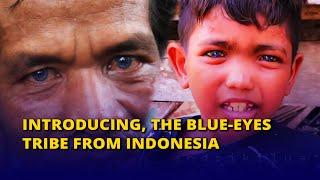 Blue-Eyes Tribe Like European From Buton, Southeast Sulawesi