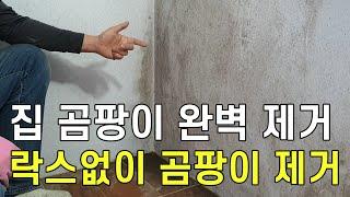 락스 사용안하고 집안 곰팡이 완벽히 제거할수 있는 신개념 청소방법/ 물사용 적게 하고도 청소가능/ 매직청소TV